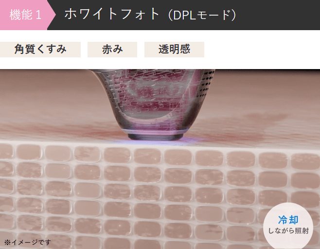 ホワイトフォト(DOL)