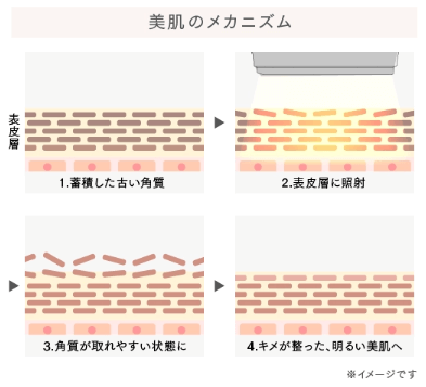 ホワイトフォト(DPL)