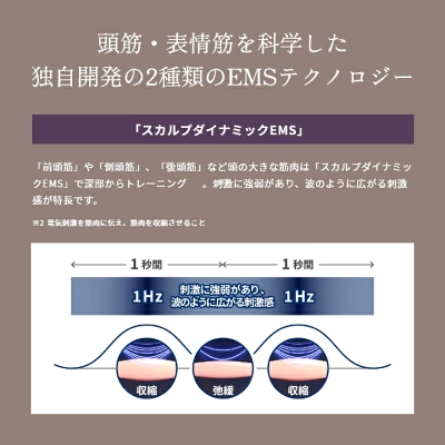 バイタリフトブラシ EH-SP60の特長