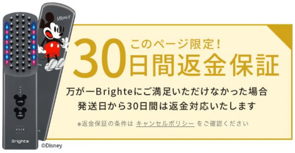 エレキブラシミッキーデザインの30日全額返金保証